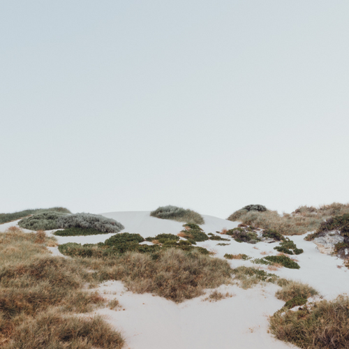 ART PRINT | Rottnest Dunes WA by Denise Rix