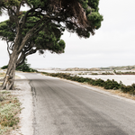 ART PRINT | Another Way To Geordie Bay Rottnest Island WA by Denise Rix