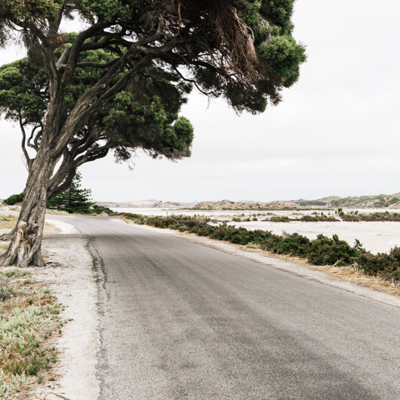 ART PRINT | Another Way To Geordie Bay Rottnest Island WA by Denise Rix