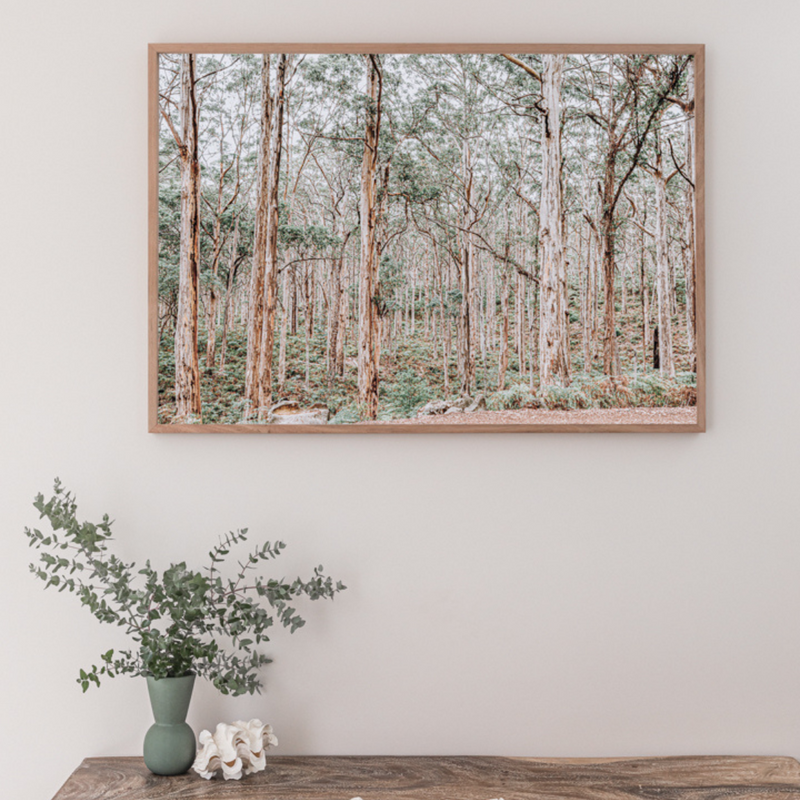 ART PRINT | Giants of Boranup WA by Denise Rix