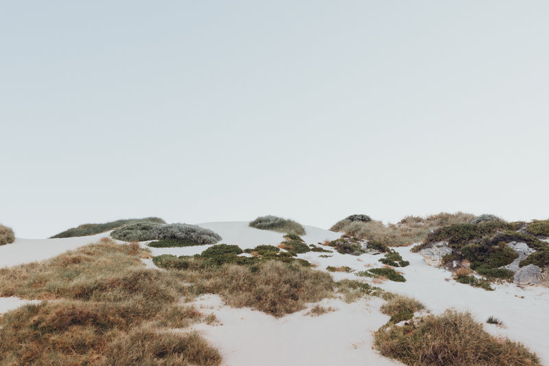 ART PRINT | Rottnest Dunes WA by Denise Rix