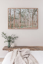 ART PRINT | Giants of Boranup WA by Denise Rix