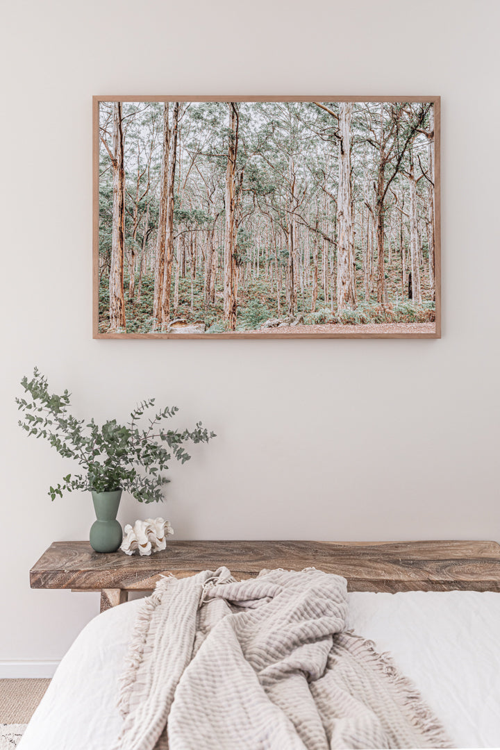 ART PRINT | Giants of Boranup WA by Denise Rix