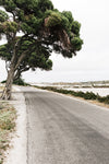 ART PRINT | Another Way To Geordie Bay Rottnest Island WA by Denise Rix