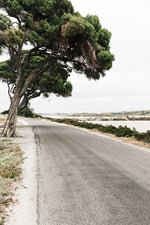 ART PRINT | Another Way To Geordie Bay Rottnest Island WA by Denise Rix