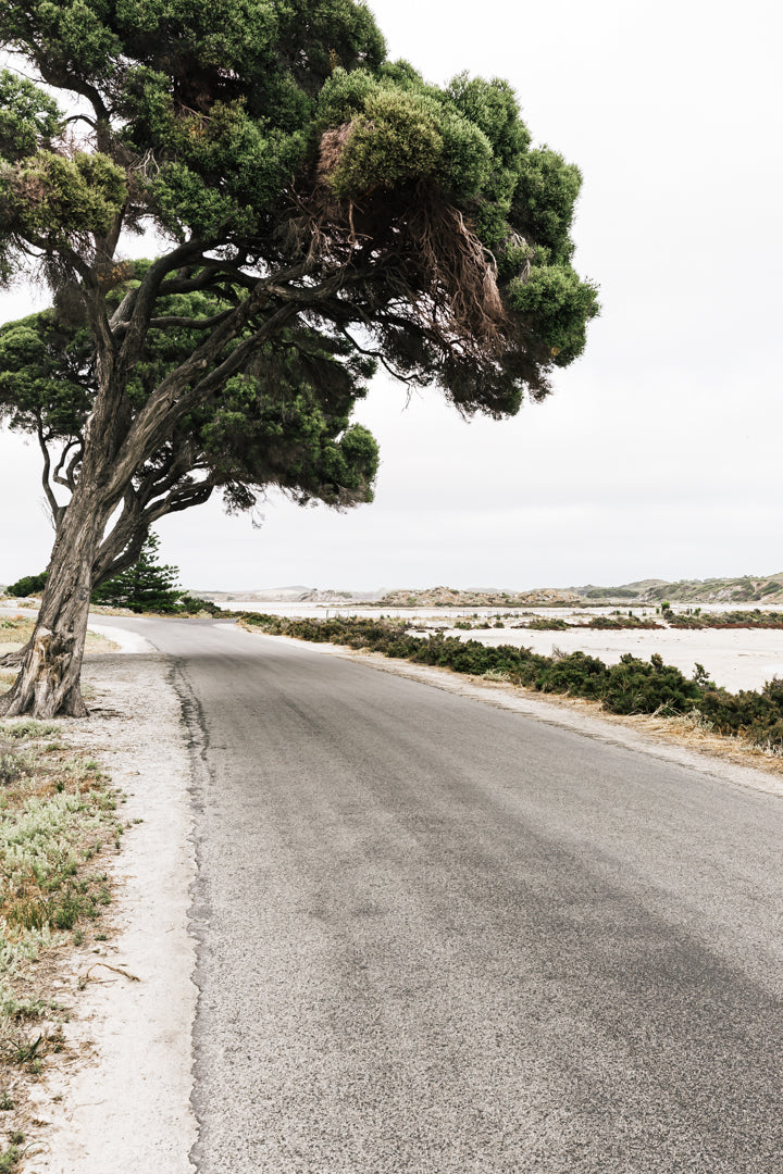 ART PRINT | Another Way To Geordie Bay Rottnest Island WA by Denise Rix