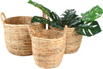 PLANTER | Toni Water Hyancinth Baskets Set of 3 by Maine & Crawford