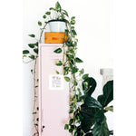 STORAGE | skinny design in blush by mustard made